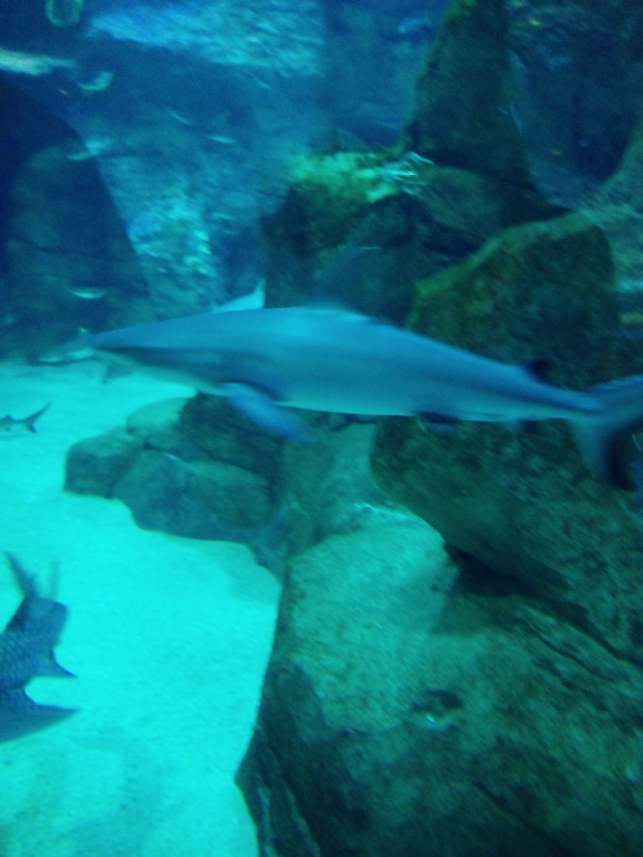 aquaroim de Biarritz 